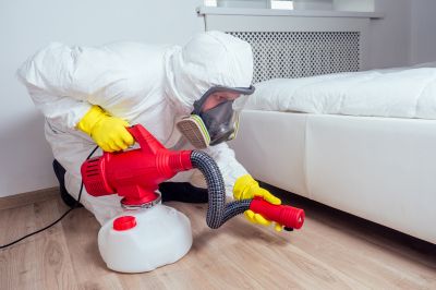 Commercial Flea Control