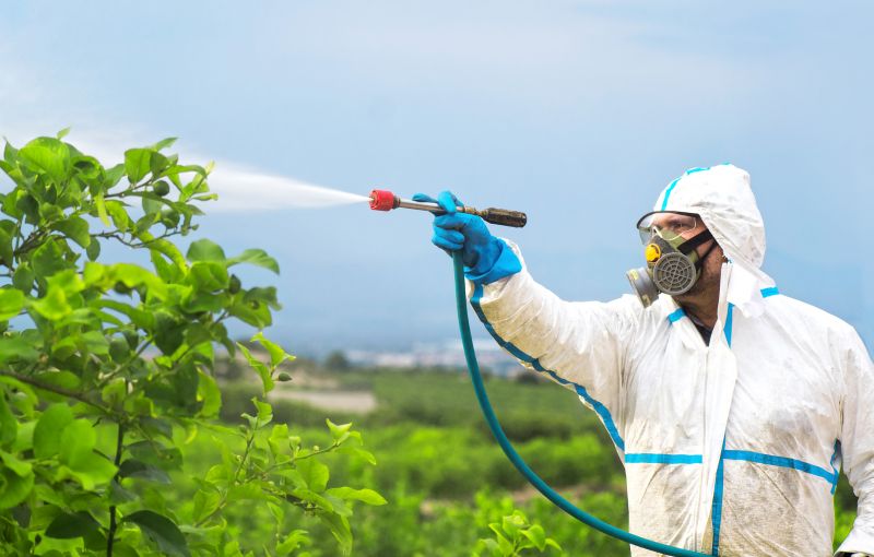 Roach Fumigation in Fayetteville, NC