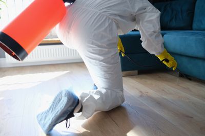 Spider Fumigation Service in Wilmington, DE